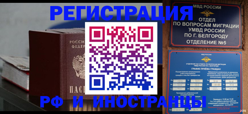 прописка 2025 в Могочи